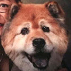 Meet your Posher, D.